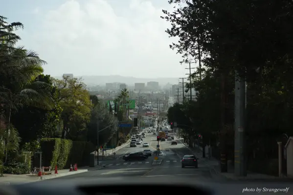 IMG_0991-lr16t.jpg of FC/FC2017/