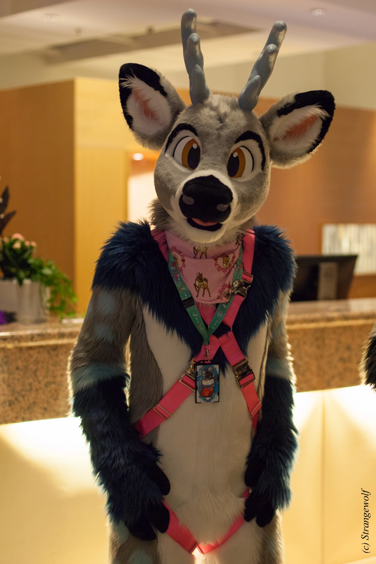 full image IMG_9346-lr19t.jpg