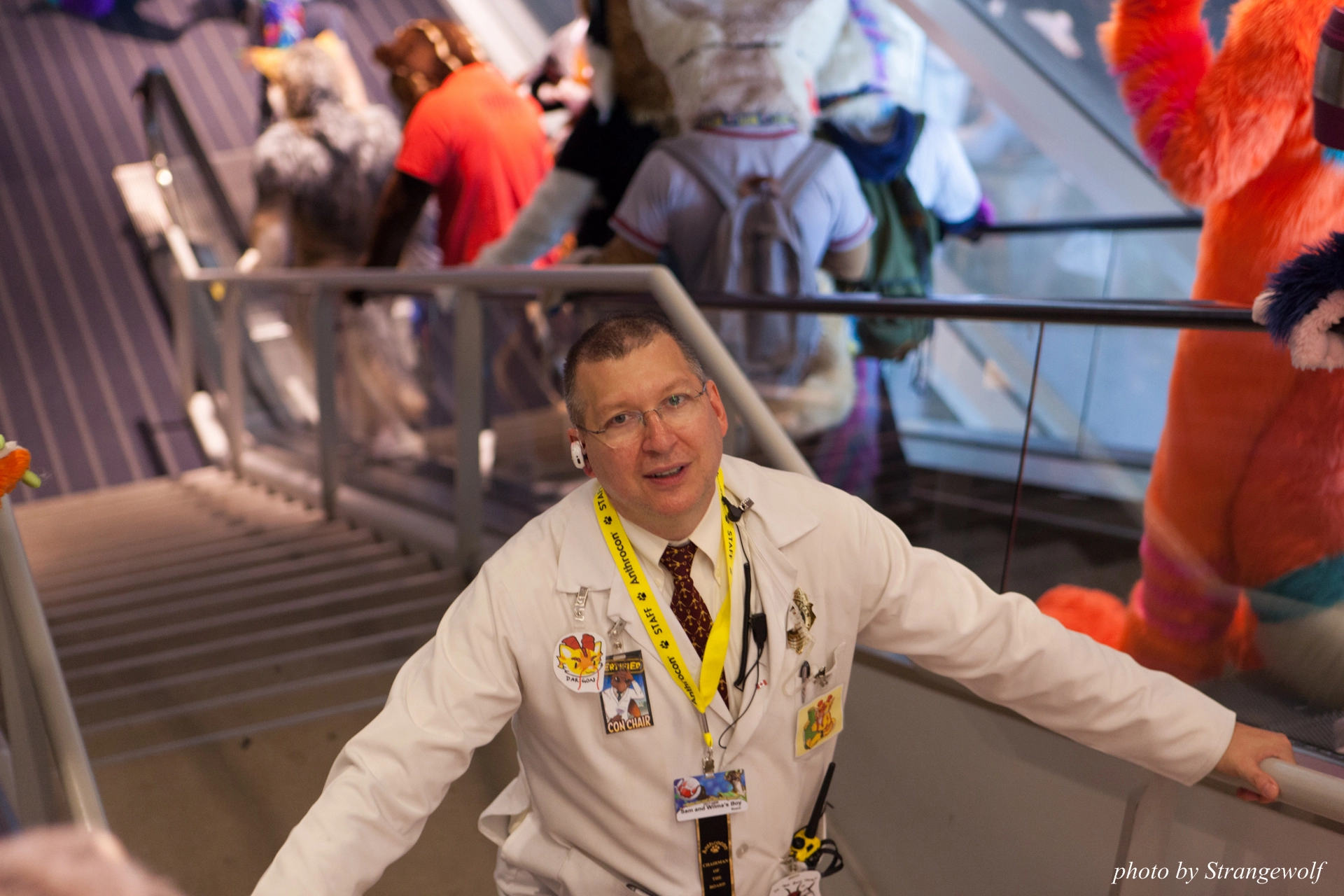 full image IMG_4490-lr19t.jpg