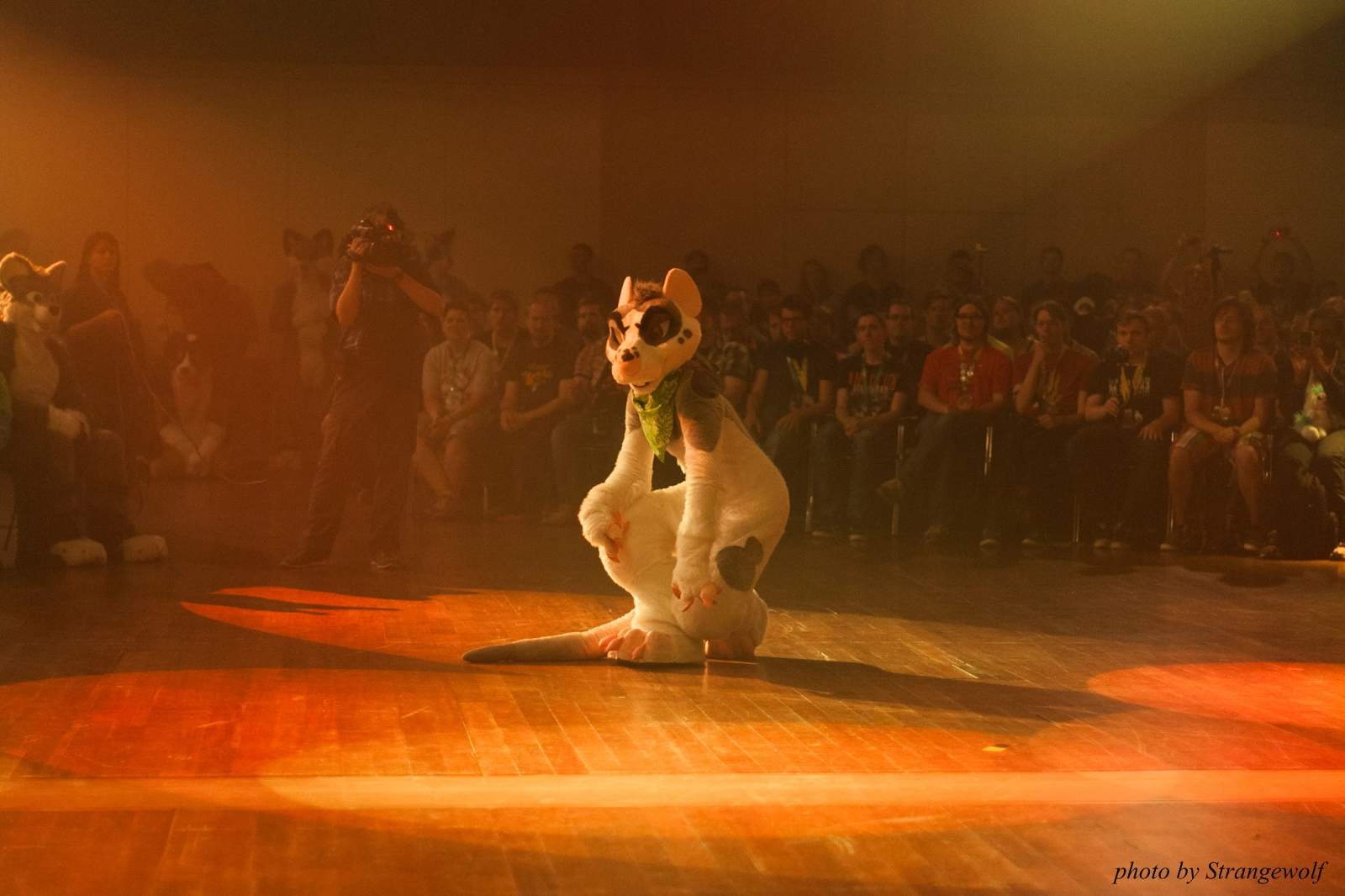 full image IMG_2484-lr16t.jpg