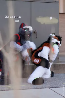 IMG_0973-lr.jpg of MFF/MFF2021/