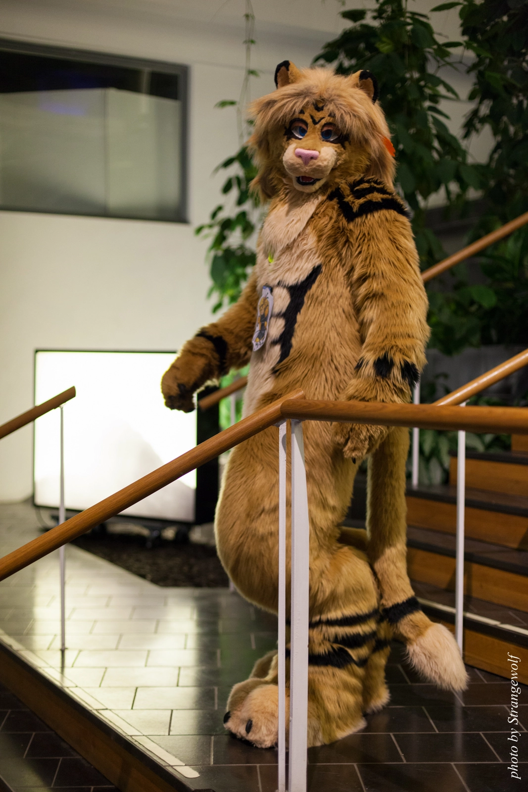 full image IMG_2521-lr16t.jpg