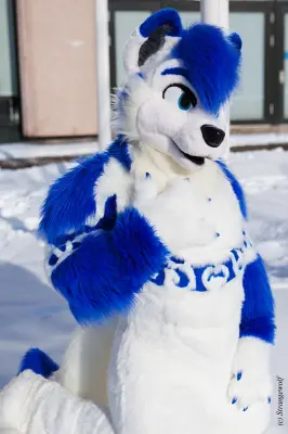 IMG_9937-lr19t.jpg of NFC/NFC2018/