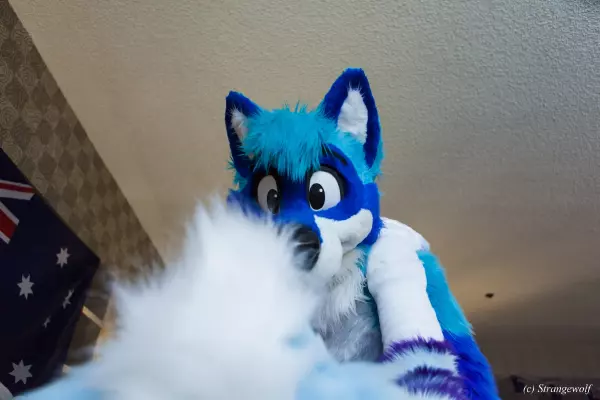 IMG_3230-lr19t.jpg of BLFC/2018/