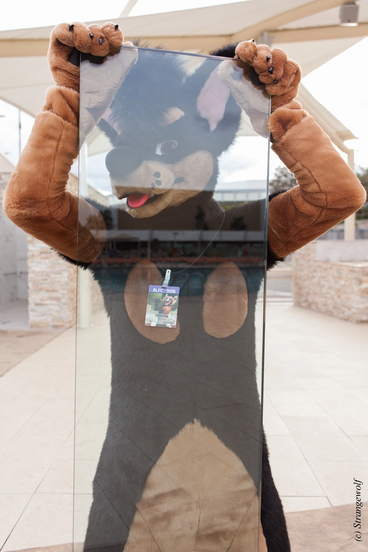 full image IMG_2786-lr19t.jpg