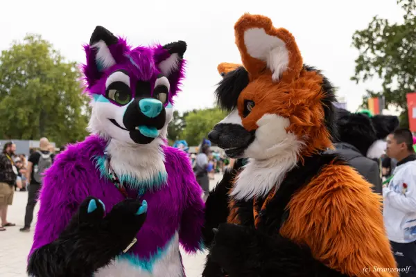 1R3A9075-lr19t.jpg of EF/EF29/