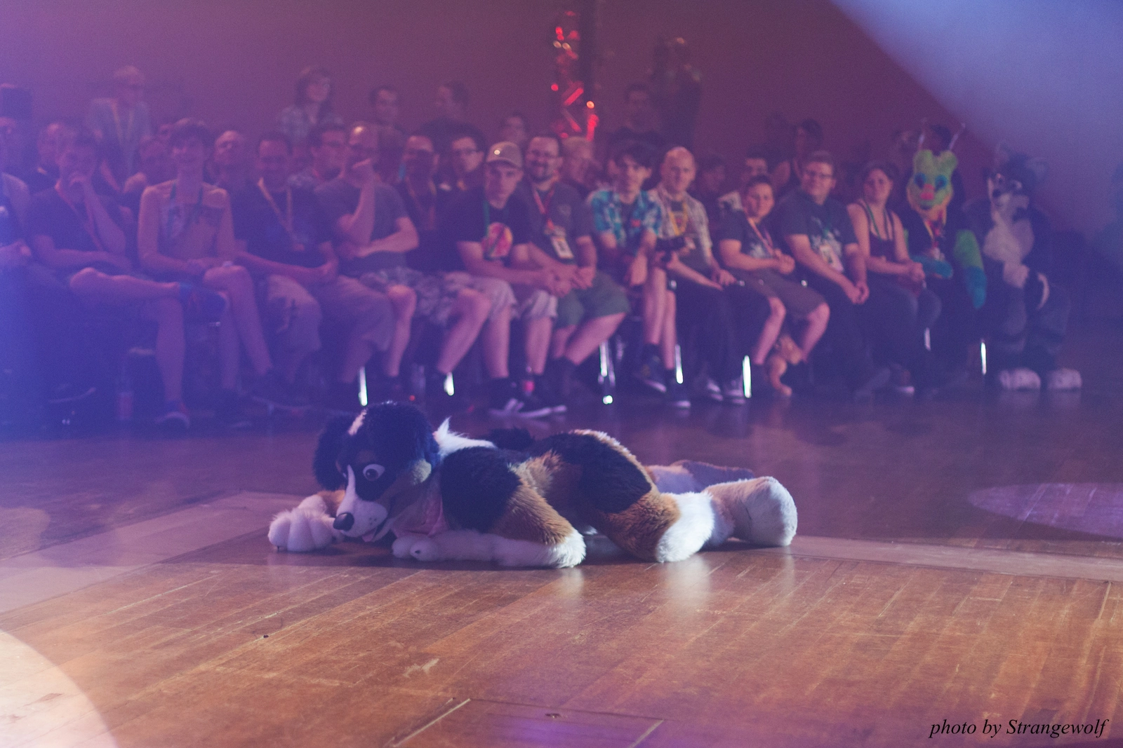 full image IMG_2544-lr16t.jpg