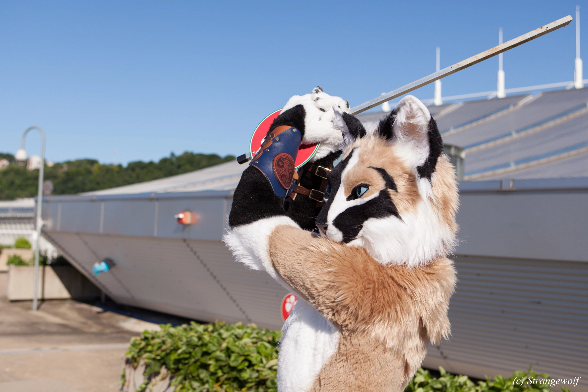 full image IMG_4339-lr19t.jpg