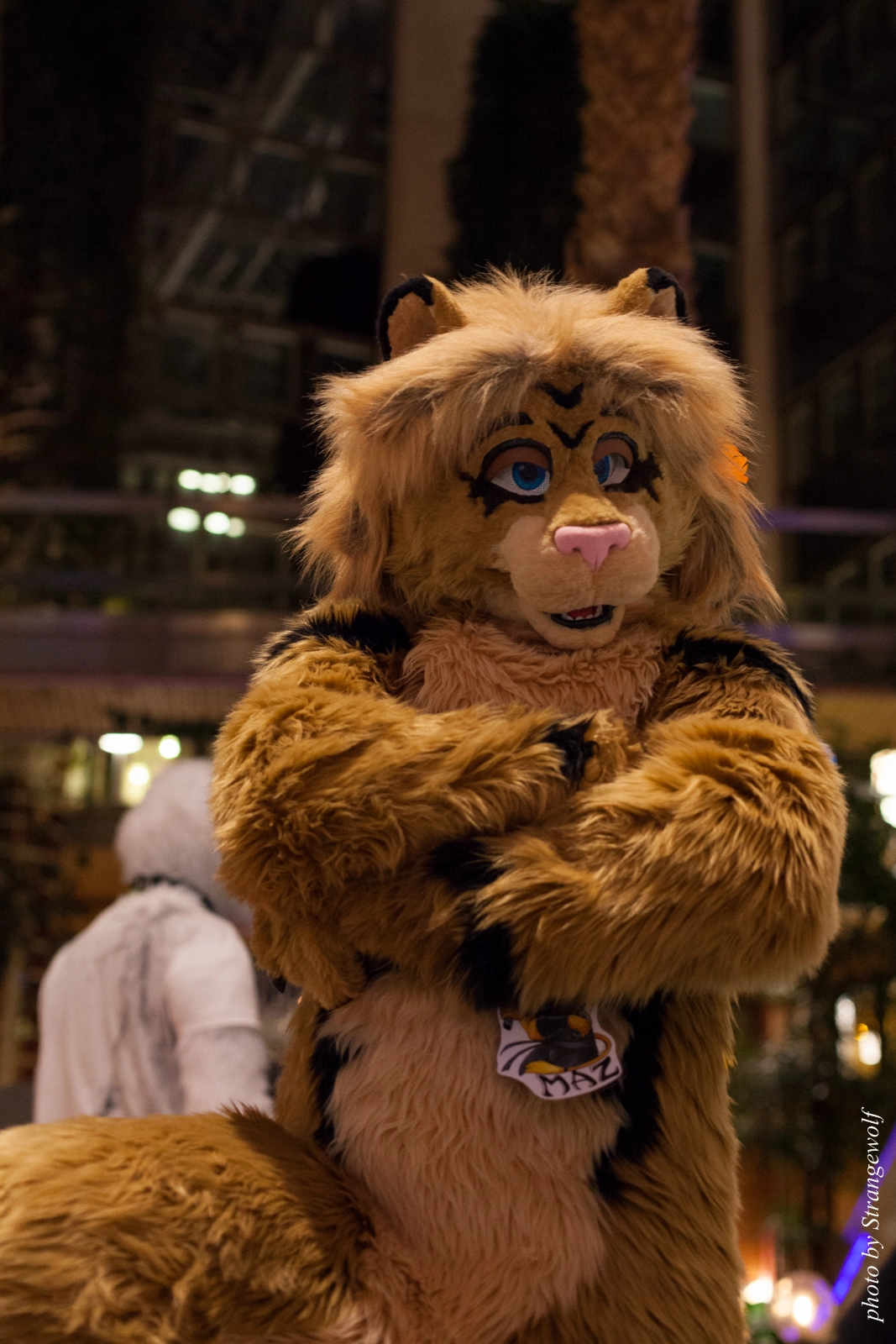 full image IMG_2479-lr16t.jpg