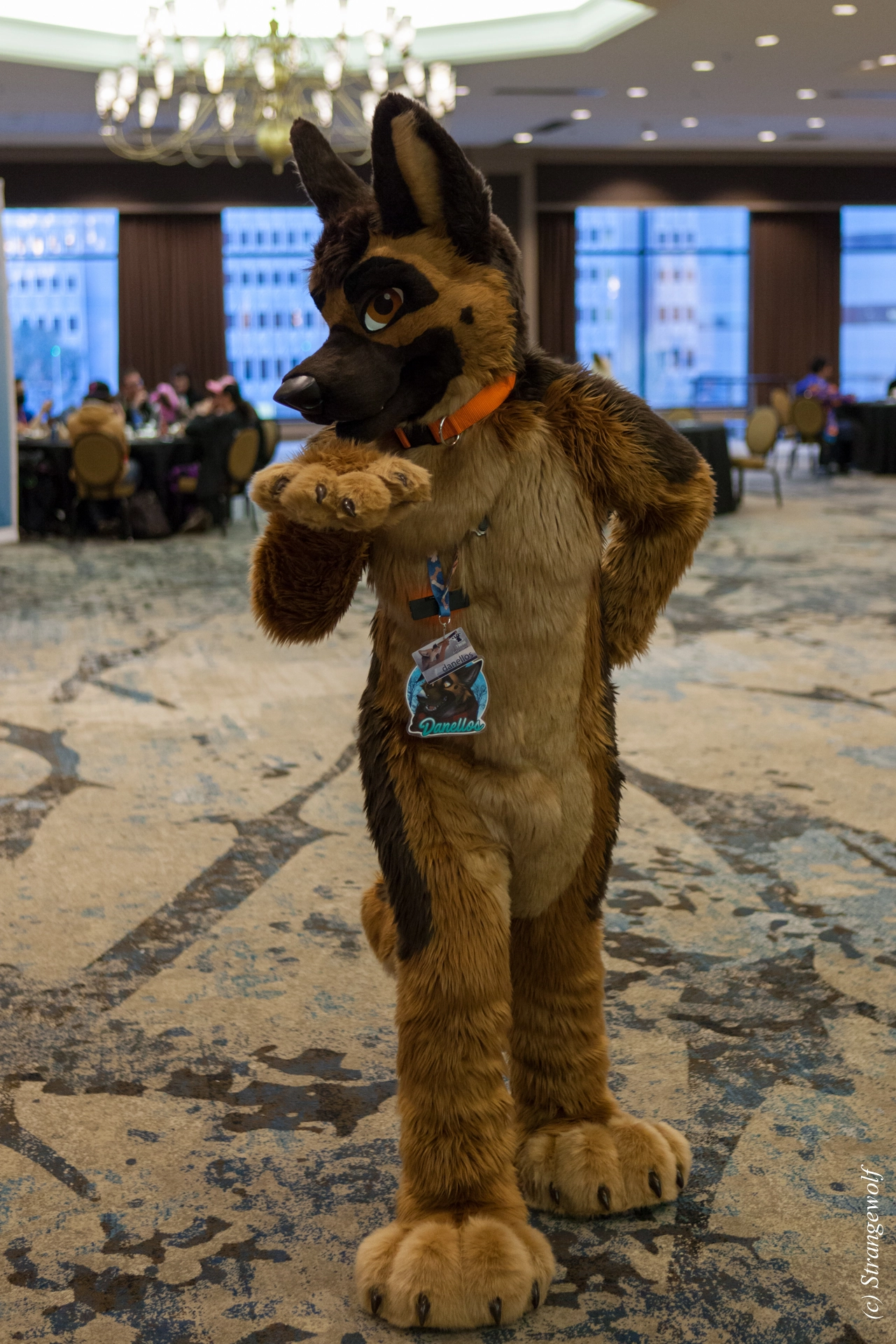 full image IMG_4171-lr19t.jpg