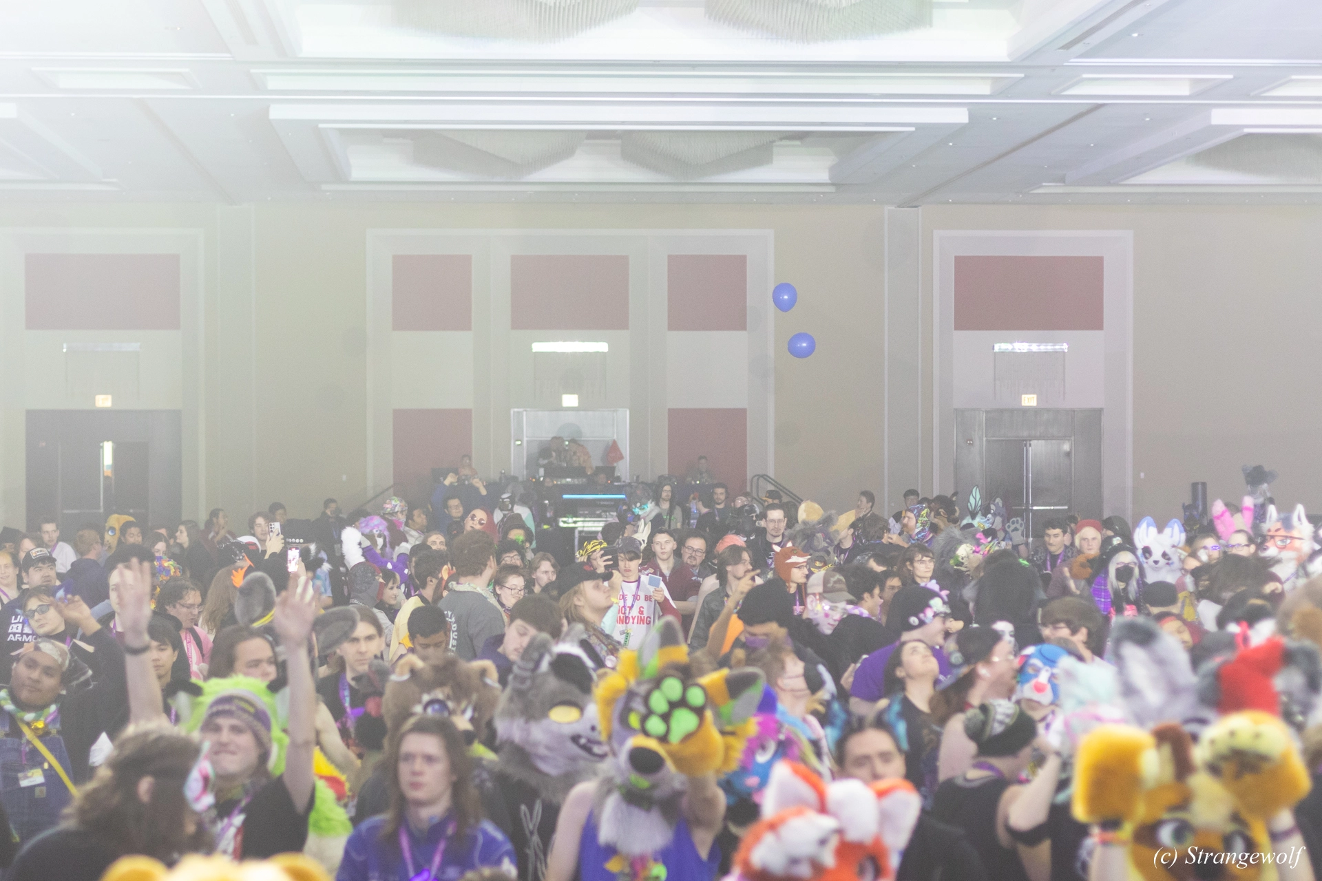 full image 1R3A0400-lr19t.jpg