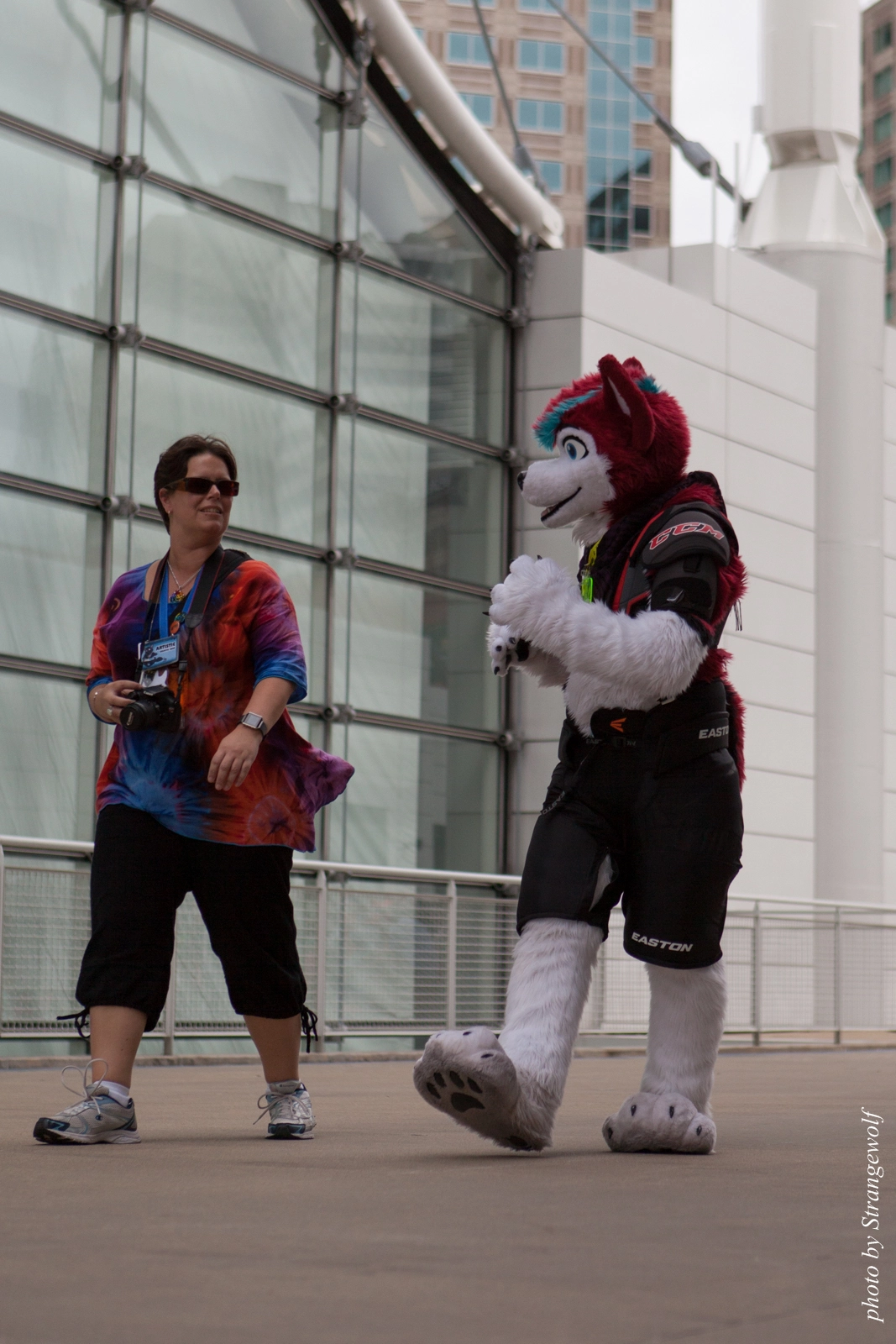 full image IMG_8211-lr16t.jpg