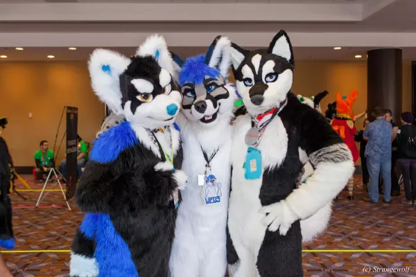 IMG_8393-lr19t.jpg of MFF/MFF2017/