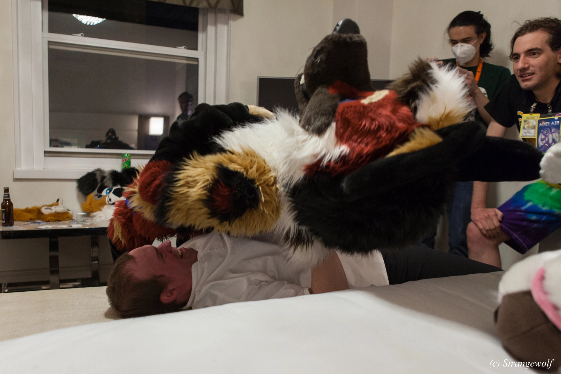 full image IMG_3366-lr19t.jpg