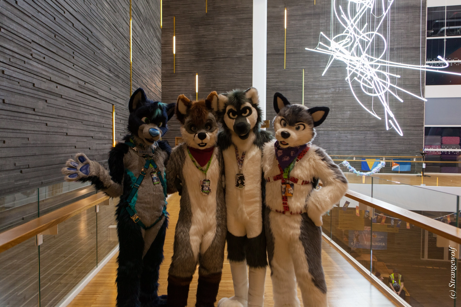 full image IMG_8249-lr19t.jpg