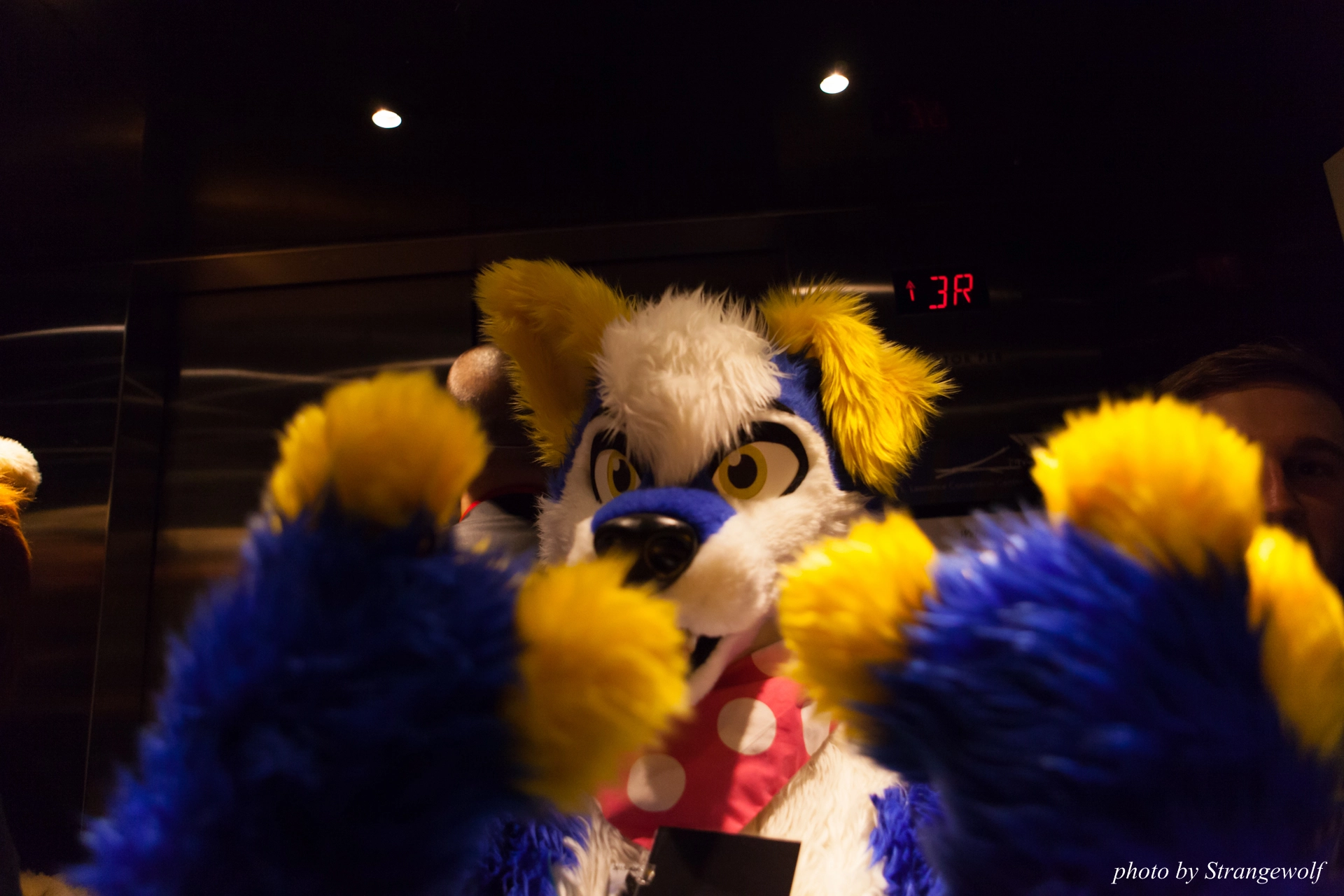 full image IMG_9880-lr19t.jpg