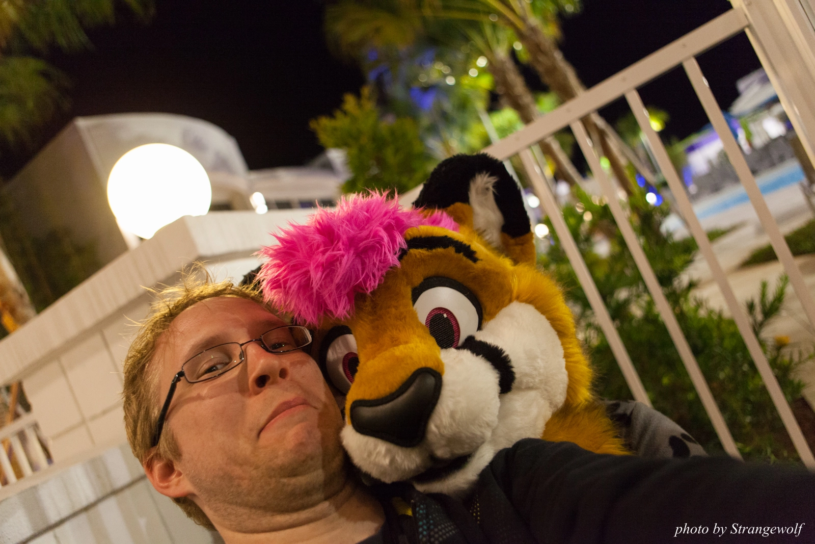 full image IMG_8072-lr16t.jpg