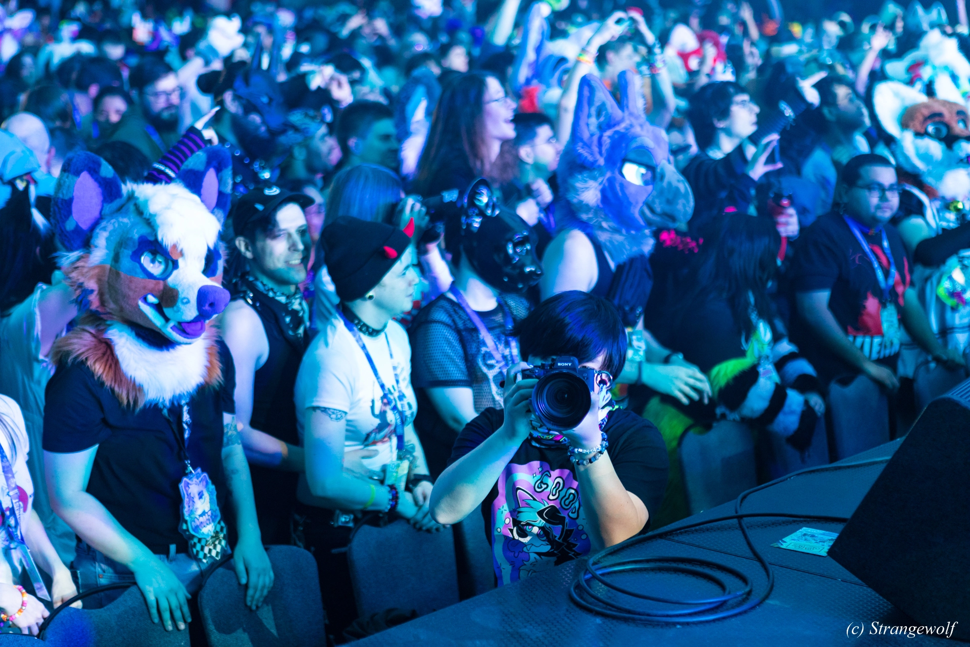 full image 1R3A5017-lr19t.jpg