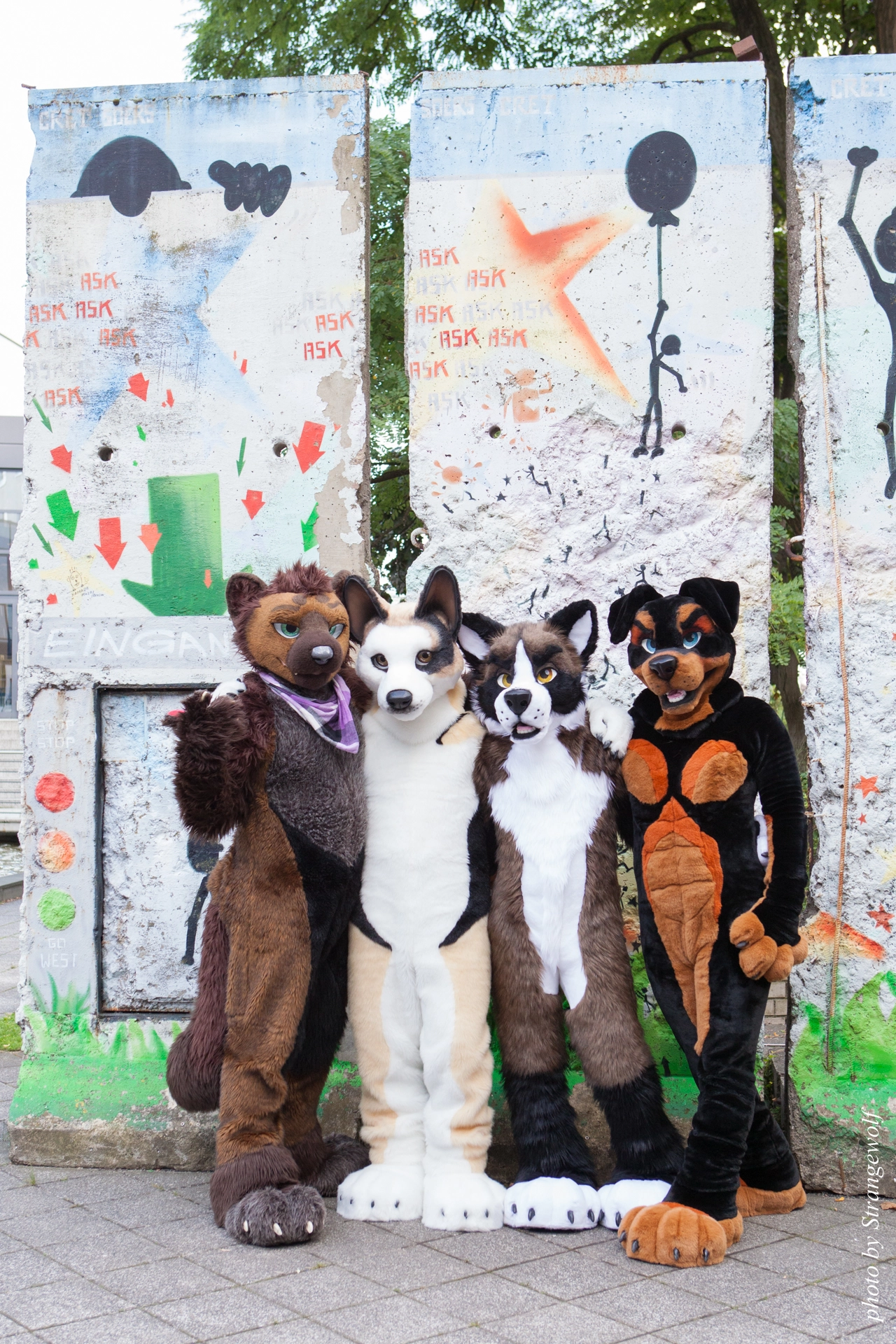 full image IMG_7104-lr19t.jpg