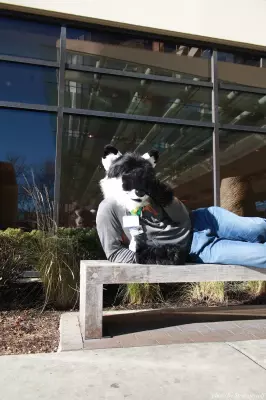 IMG_0936-lr.jpg of MFF/MFF2013/