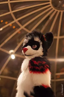 IMG_7135-lr19t.jpg of MFF/MFF2018/