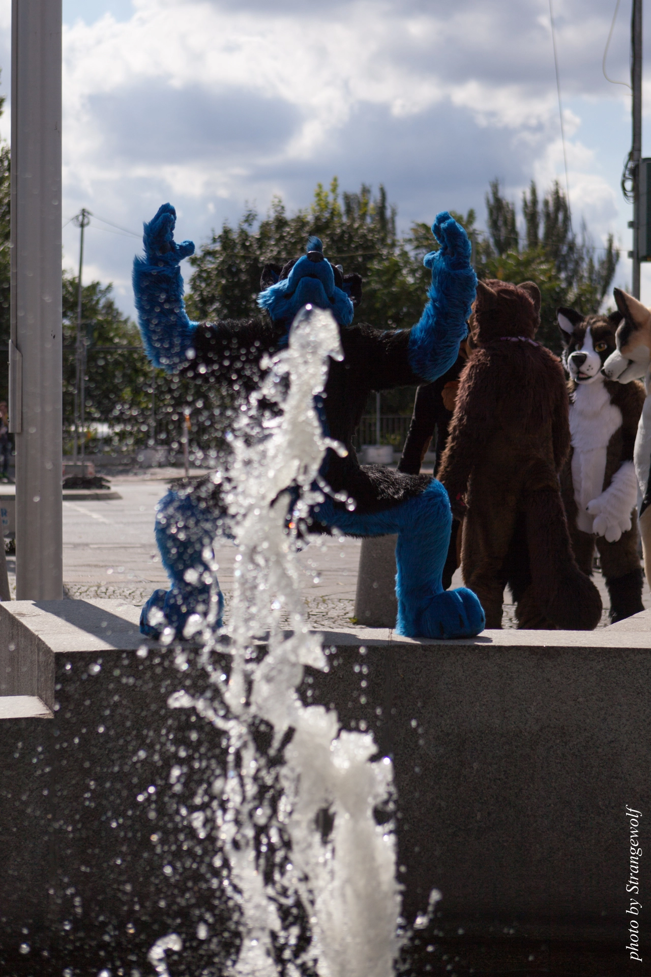 full image IMG_7240-lr19t.jpg