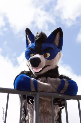 IMG_2784-lr19t.jpg of BLFC/2019/Fotoshoot-Slate/
