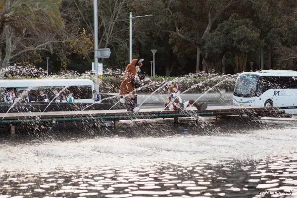 IMG_4682-lr19t.jpg of HCFC/HCFC2019/