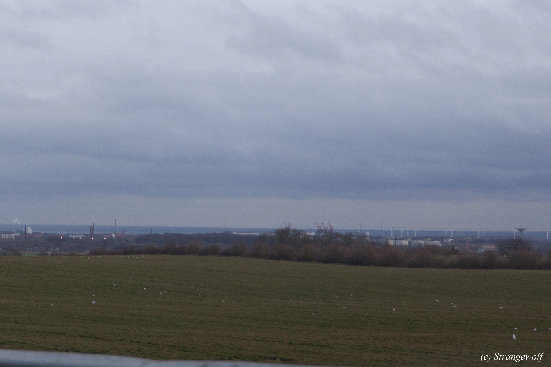 full image IMG_0009-lr19t.jpg