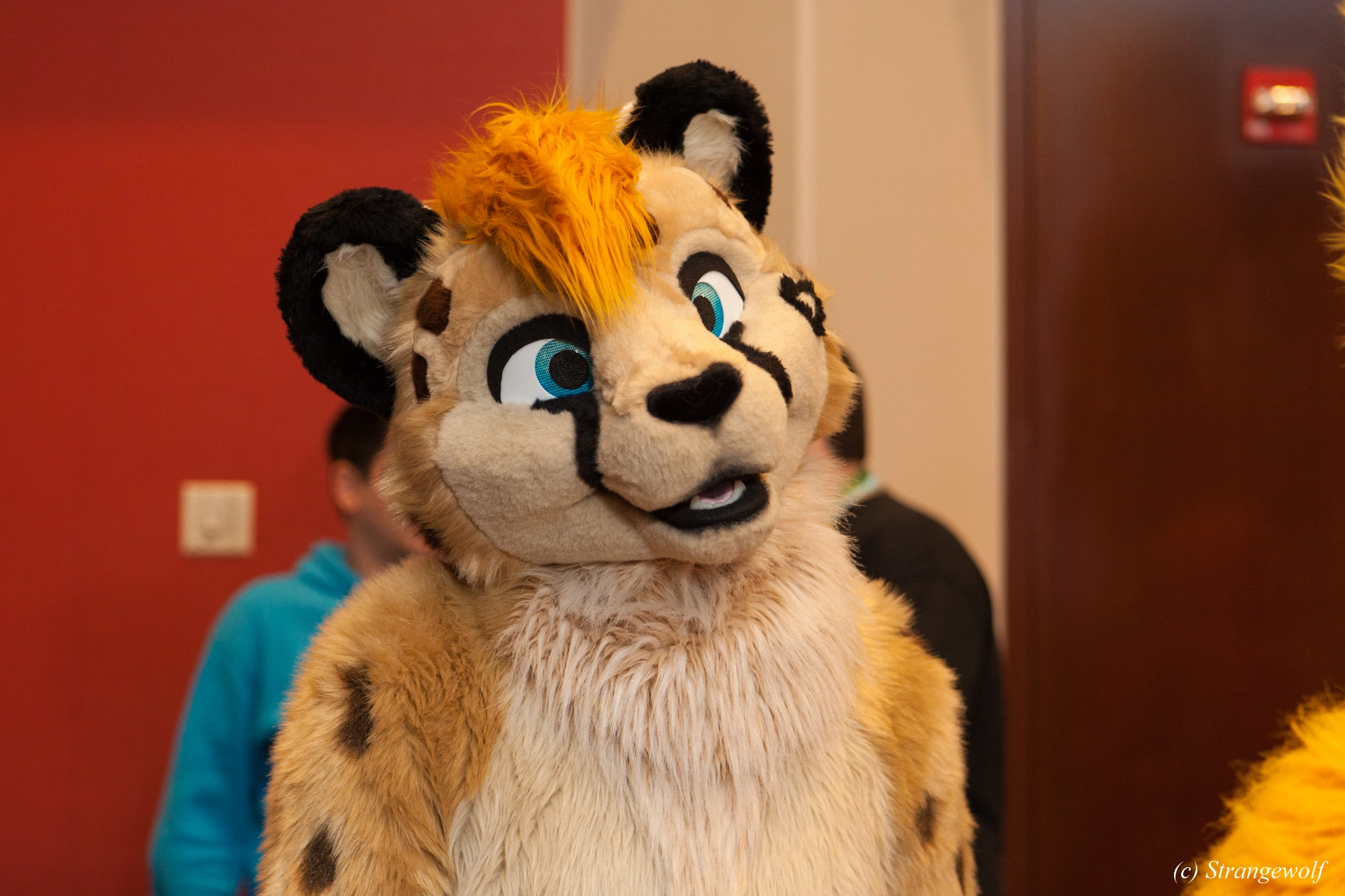 full image IMG_7476-lr19t.jpg