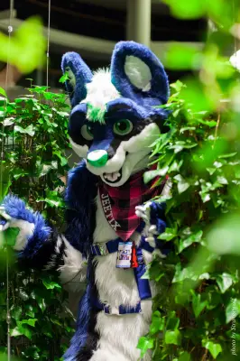 IMG_1992-lr16t.jpg of NFC/NFC2017/