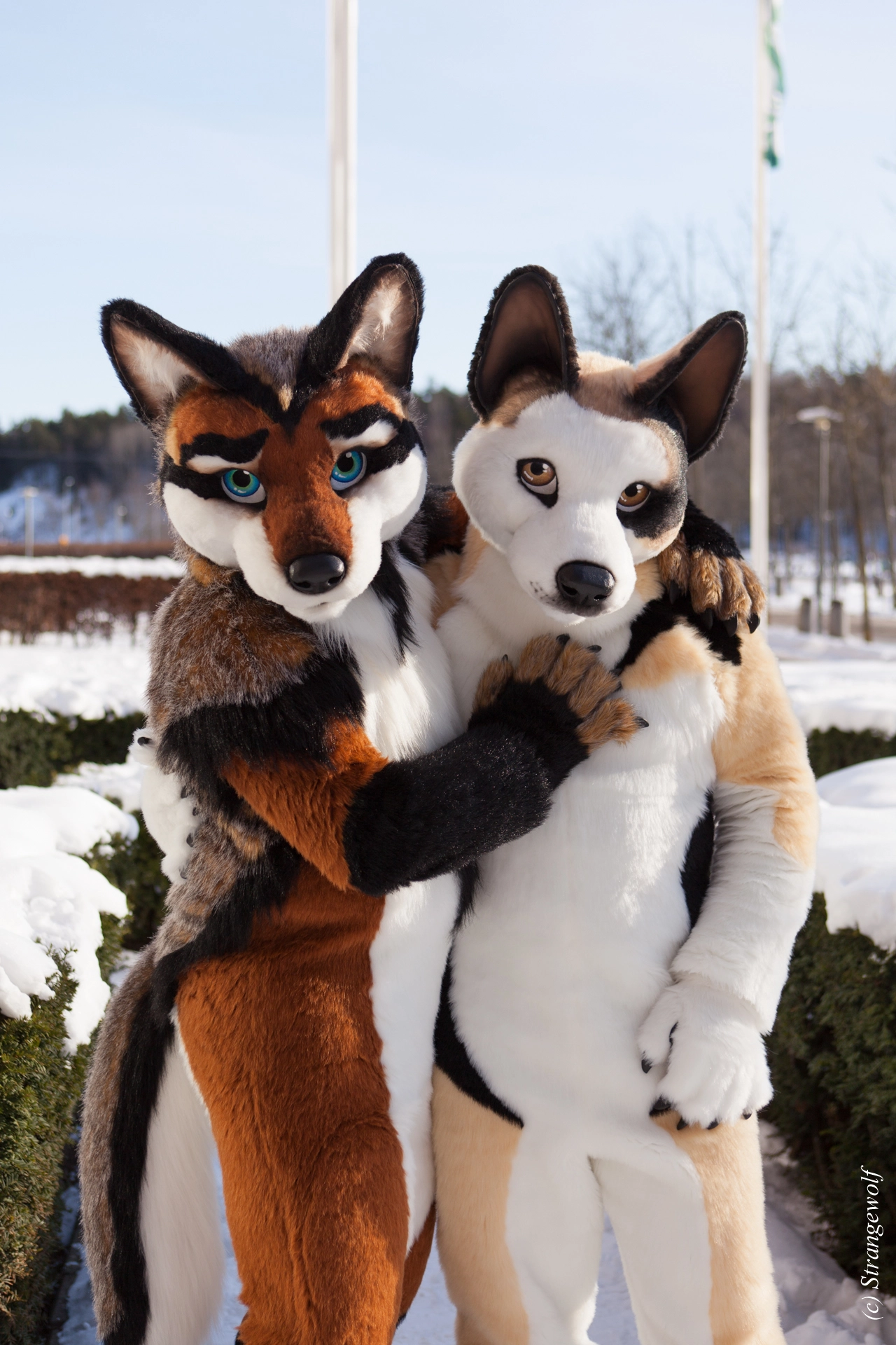 full image IMG_0027-lr19t.jpg