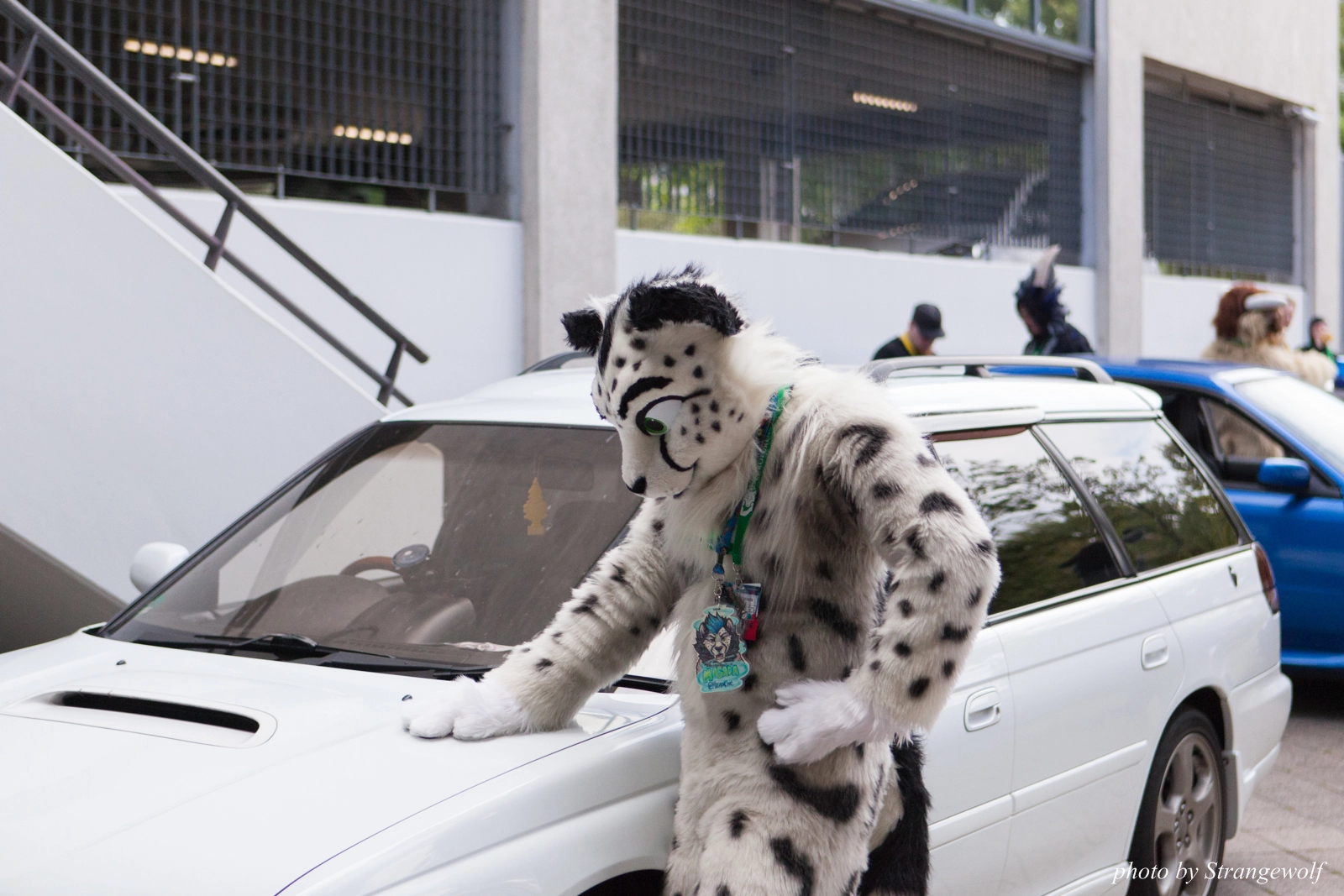 full image IMG_0072-lr16t.jpg