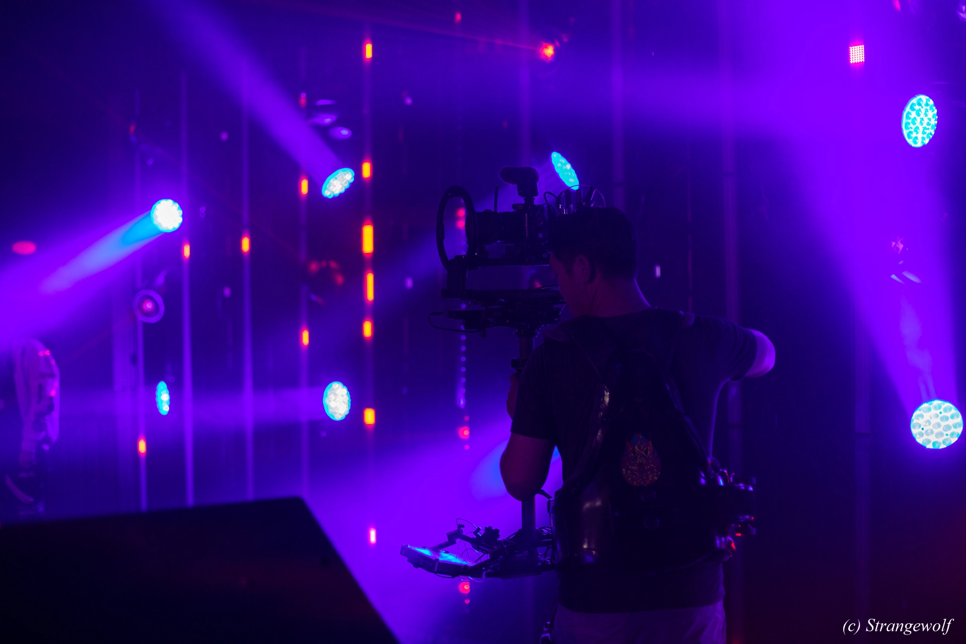 full image 1R3A5861-lr19t.jpg