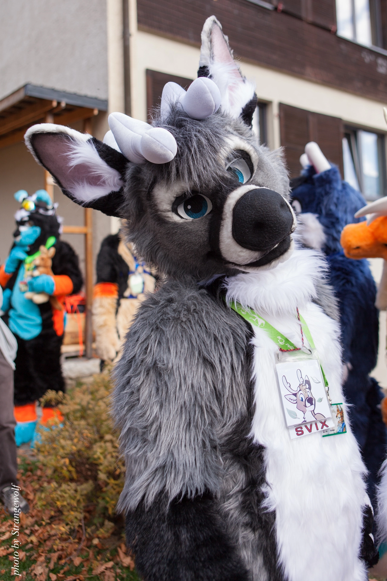 full image IMG_7898-lr19t.jpg