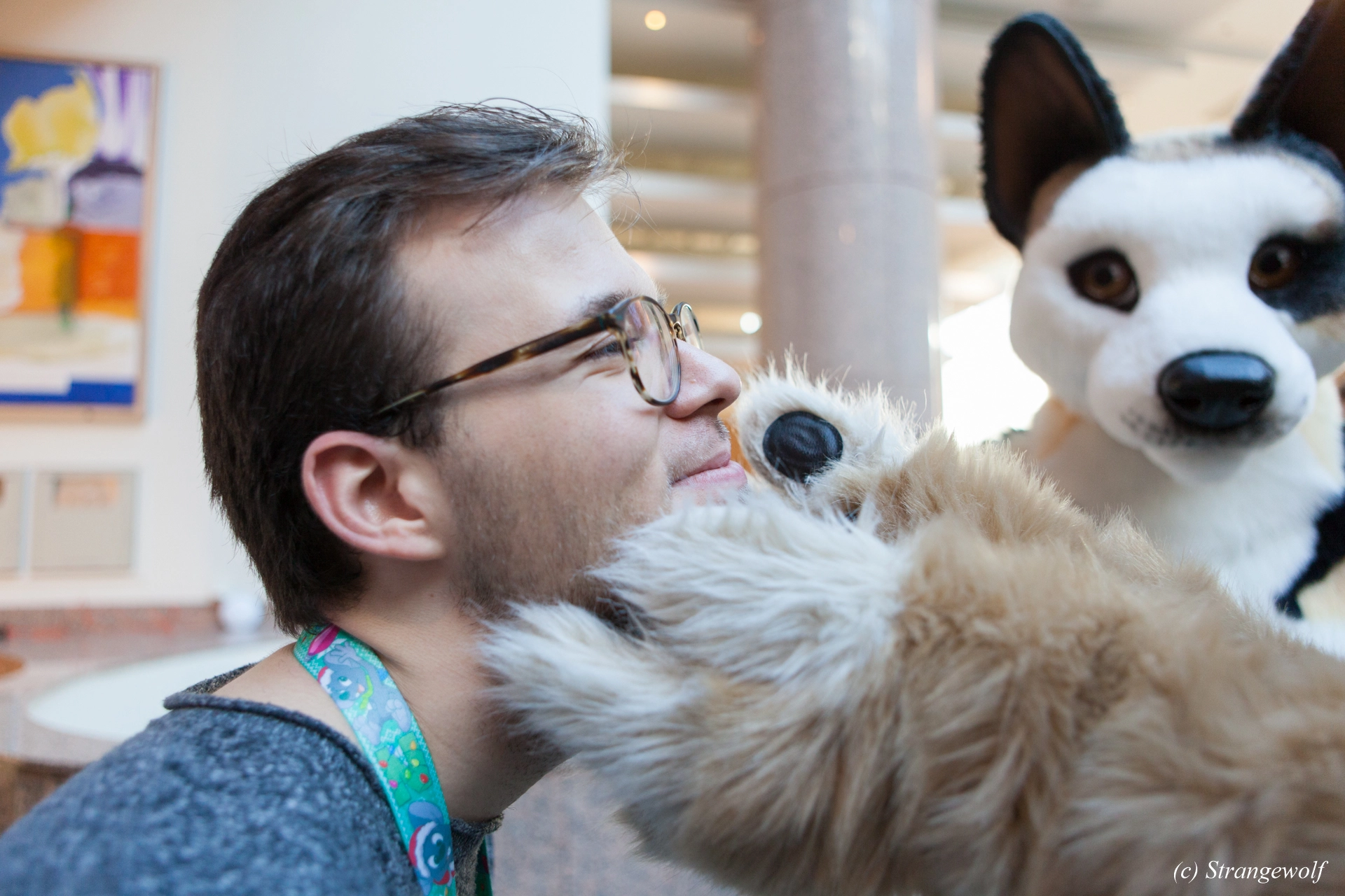 full image IMG_8760-lr19t.jpg