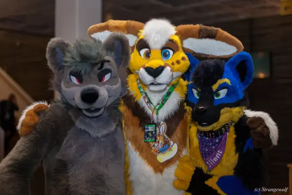 IMG_9185-lr19t.jpg of NFC/NFC2020/