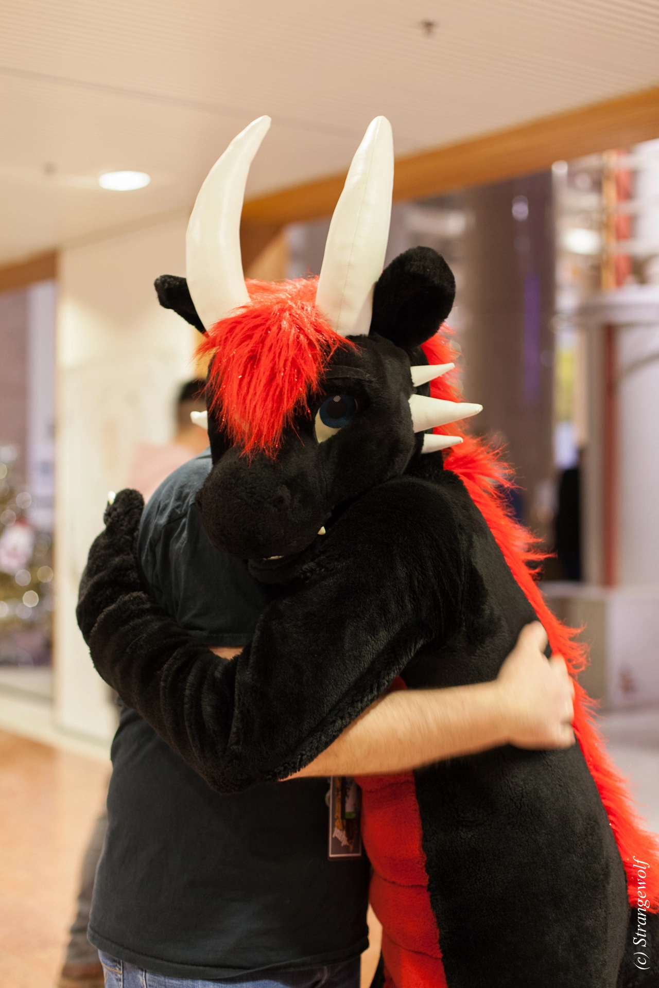 full image IMG_9181-lr19t.jpg