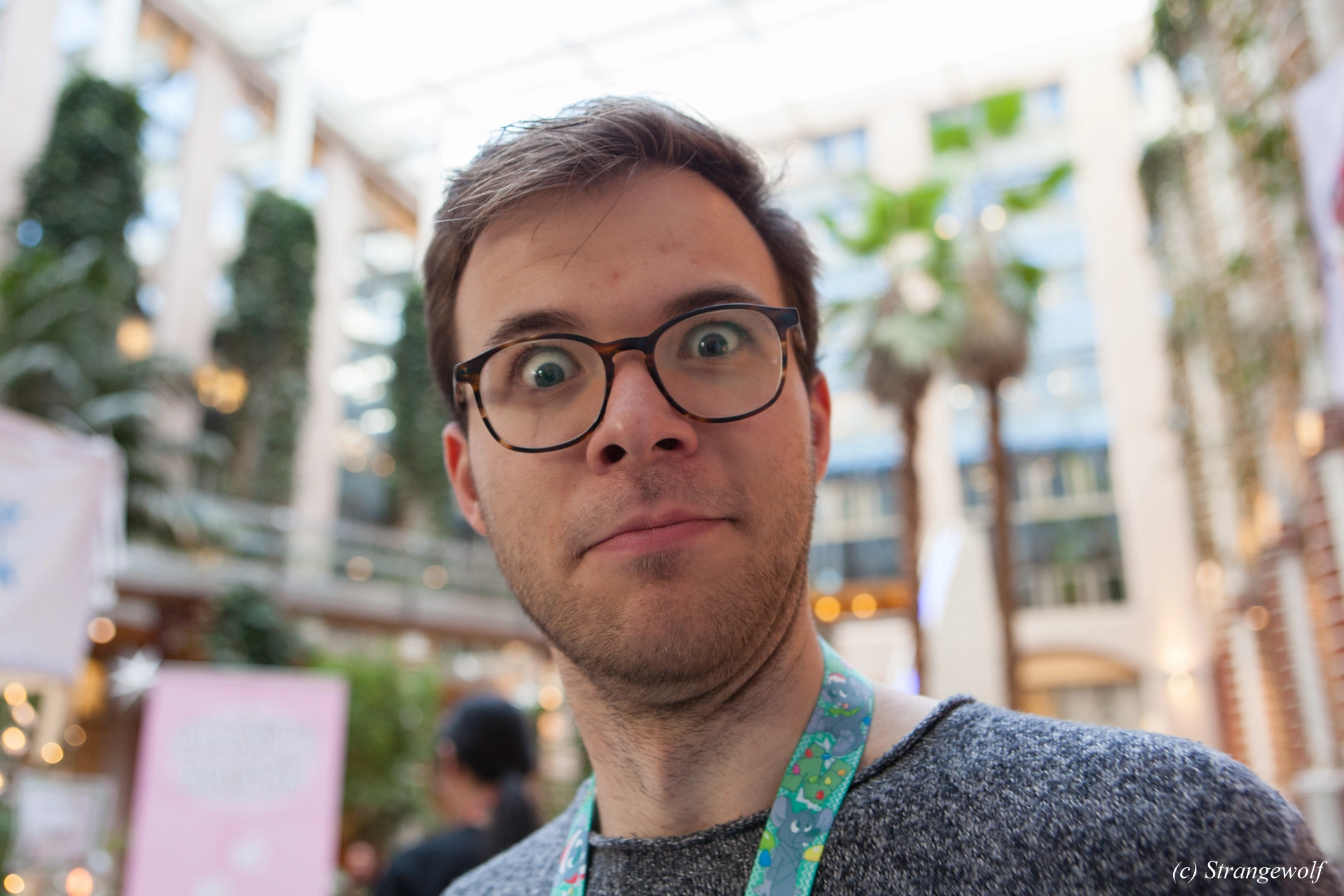 full image IMG_8743-lr19t.jpg