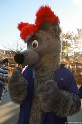 IMG_0727-lr.jpg of MFF/MFF2013/