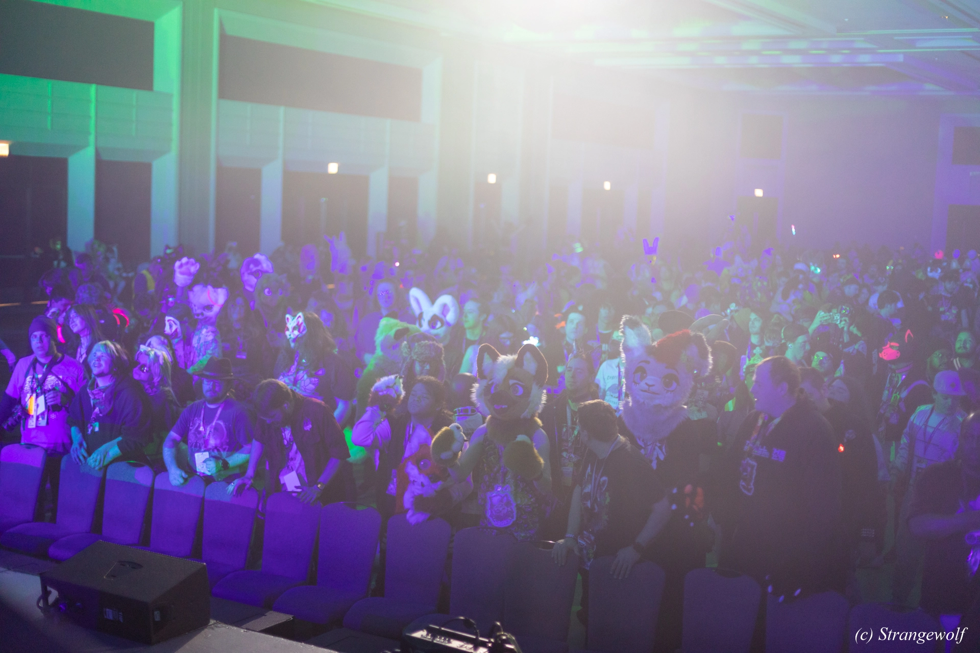 full image 1R3A0543-lr19t.jpg