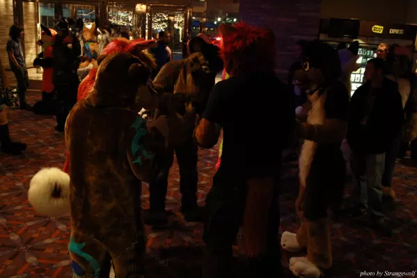 IMG_1150-lr.jpg of MFF/MFF2013/