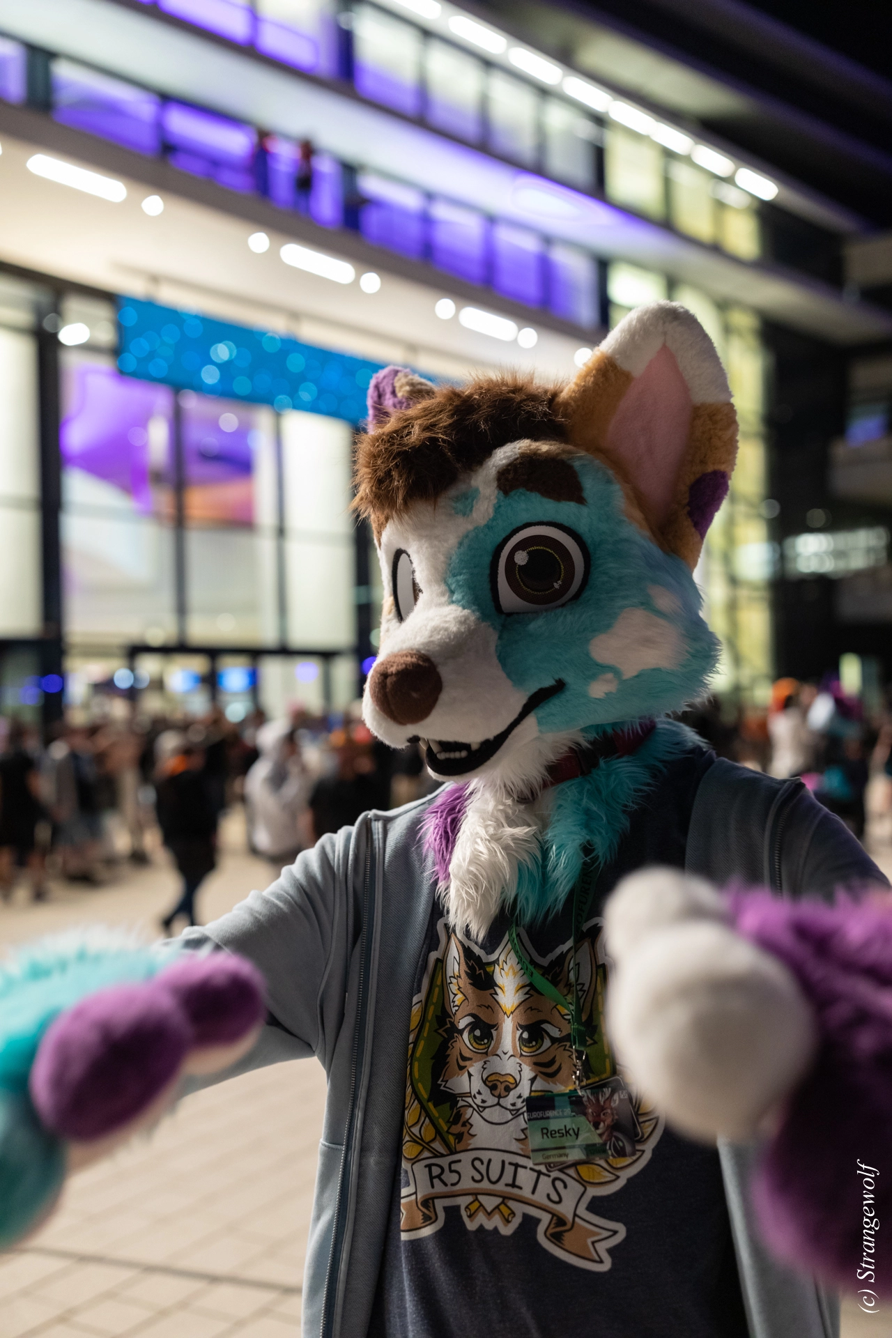 full image 1R3A9442-lr19t.jpg