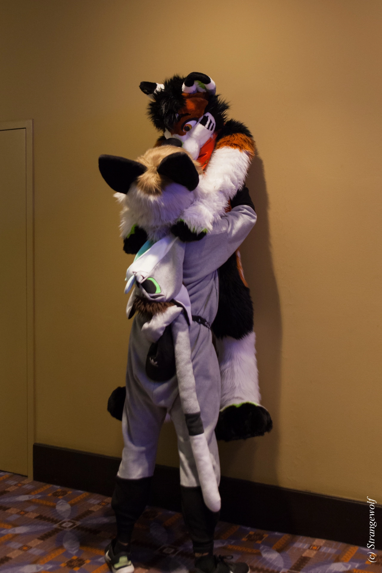 full image IMG_1148-lr19t.jpg