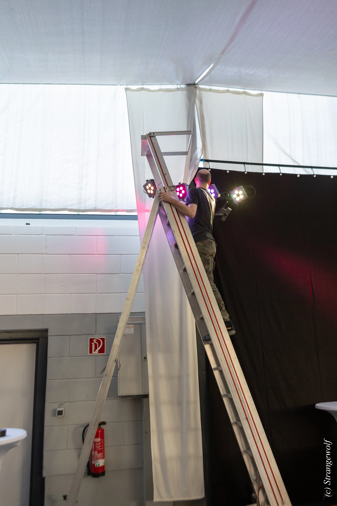 full image 1R3A7467-lr19t.jpg