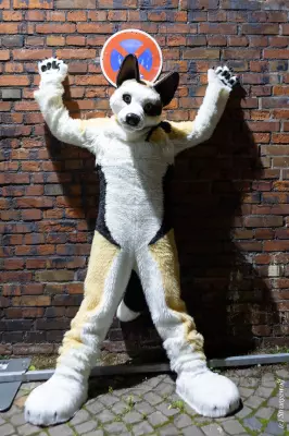 1R3A2635-lr19t.jpg of Furstrike/Furstrike 2022/