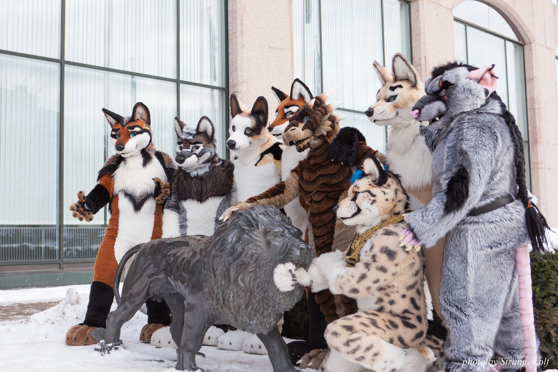 full image IMG_0276-lr19t.jpg