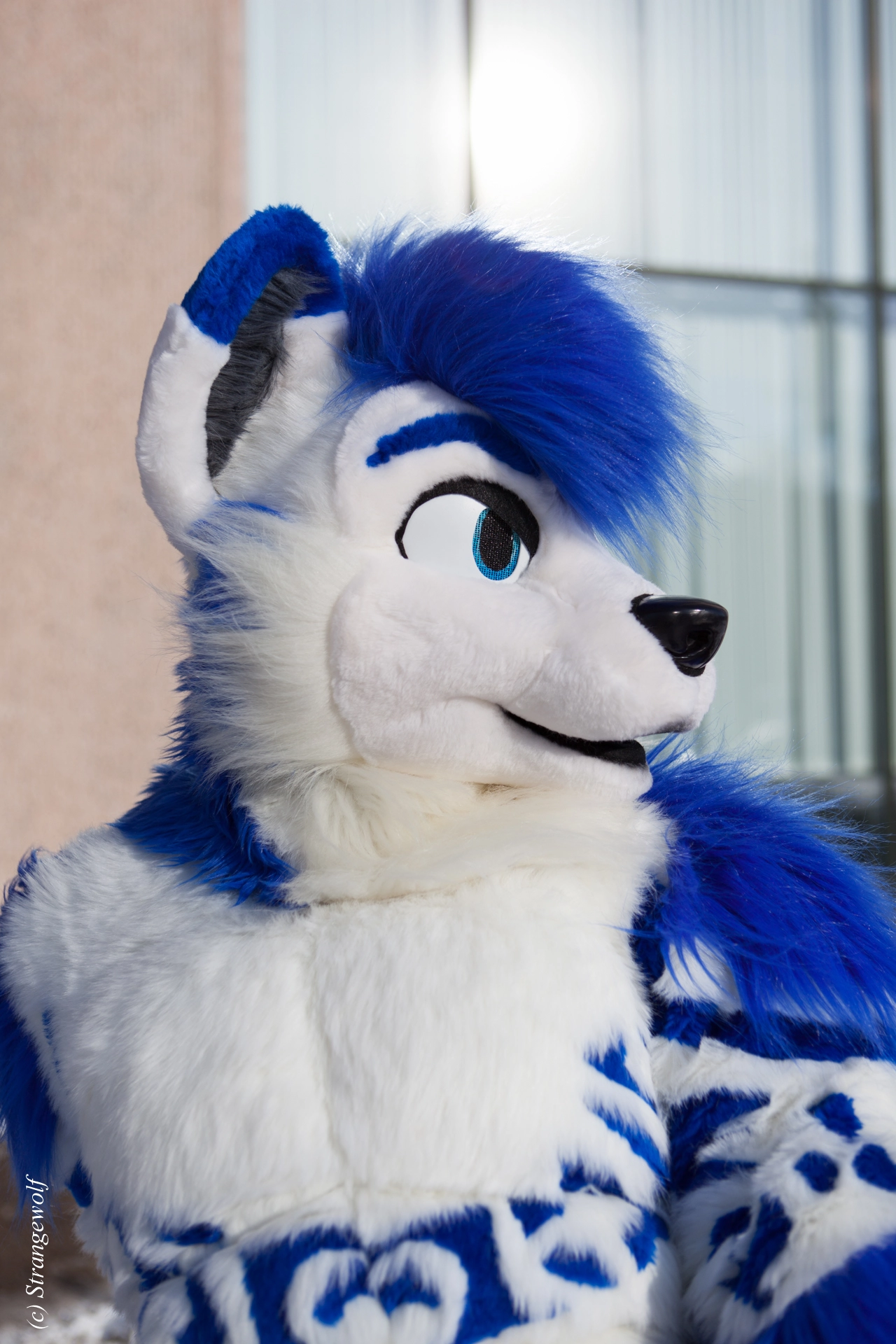 full image IMG_9755-lr19t.jpg