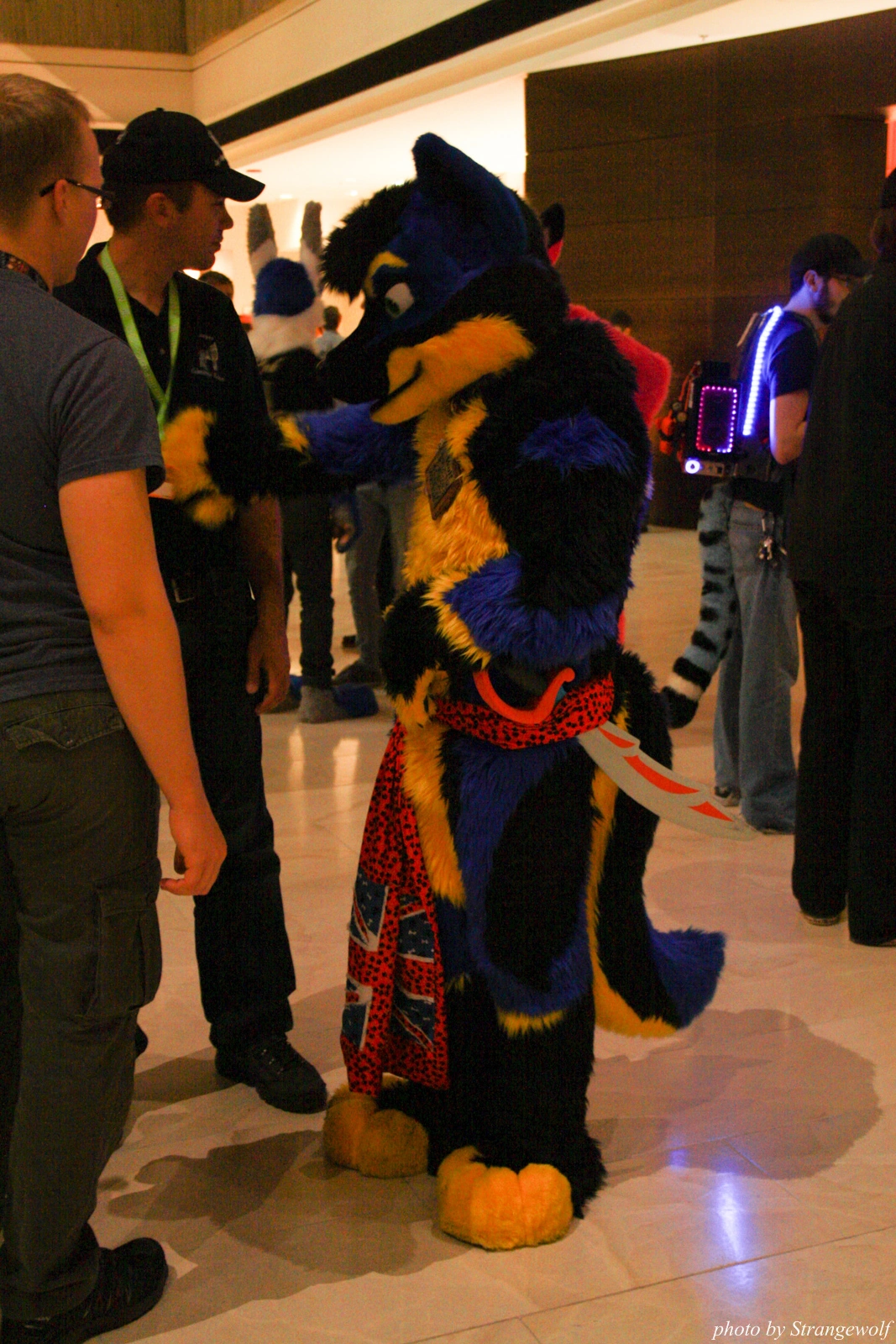 full image IMG_0313-lr.jpg