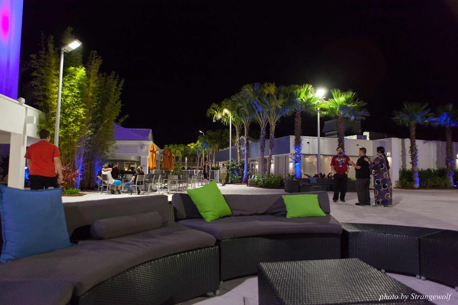 full image IMG_8032-lr16t.jpg